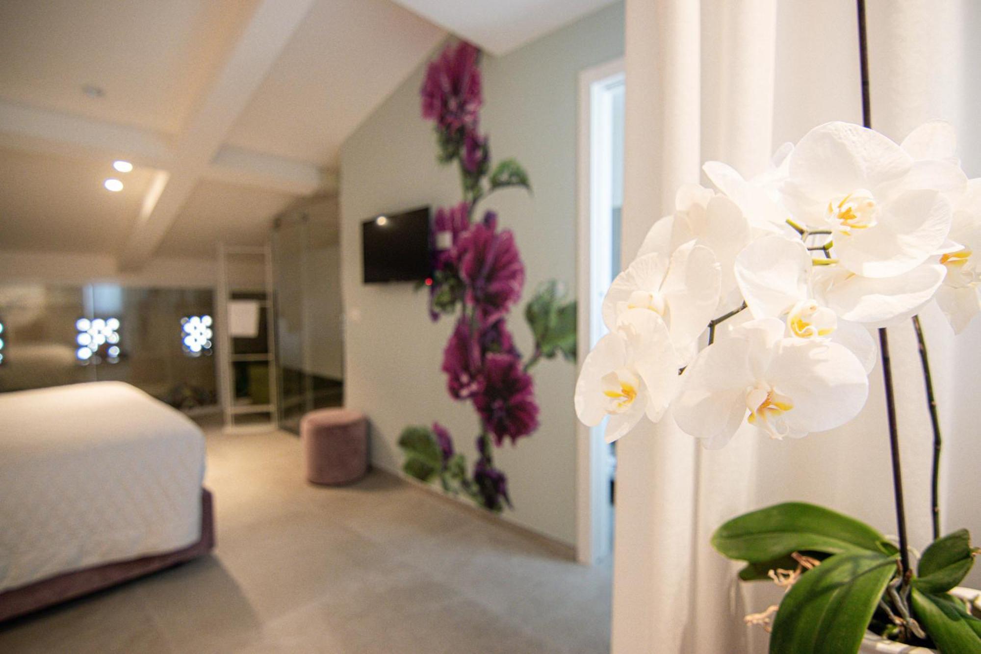 Profumi Di Primavera Luxury Rooms & Suite Matera Buitenkant foto